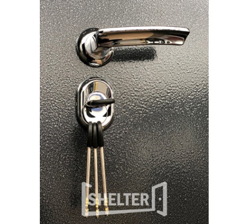Дверь стальная Shelter ТЕРМО-3 (ДЛЯ УЛИЦЫ) Алмон 25 (Винорит)